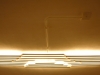 striplightback